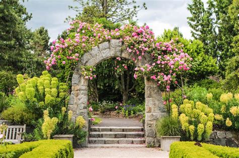 find rose gardens  bloom  vancouver bc vancouver  awesome