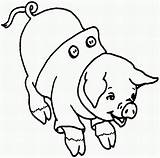 Pig Coloring Pages Pigs Color Print sketch template