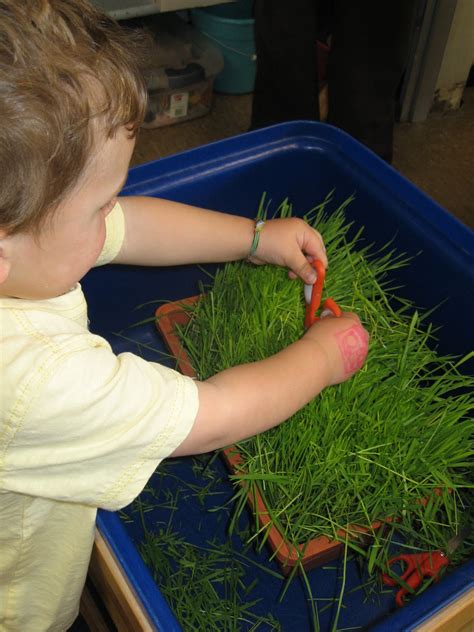 strongstart cutting grass sensory tub
