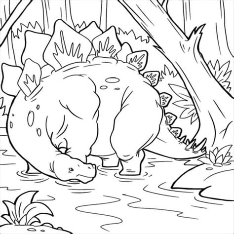 coloring page stegosaurus stegosaurus coloring page  dinosaur