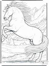 Jumping Pages Coloring Getcolorings Horse sketch template