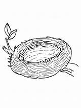Nest Bird Colouring Pages Colour Coloring Vogelnest Coloringpage Ca Check Category sketch template