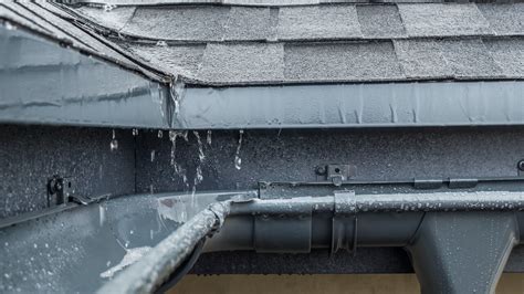 leaking roofs  lead  mold tadlock roofing