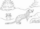 Pages Coloring Tailed Long Weasels Cute Weasel Drawing Printable Categories Getdrawings sketch template
