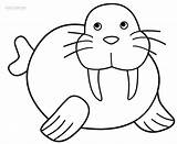 Walrus Coloring Pages Kids Printable Cool2bkids Drawing Cute Preschool Clipart Color Clip Animal Cliparts Print Craft Super Crafts Getdrawings Library sketch template