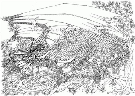 dragon colouring  adults clip art library