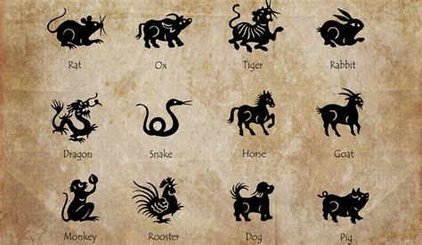 chinese zodiac sign   true soul match betterifyouknow