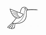 Colibri Hummingbird Colorare Trochilidae Pintar Disegno Coloringcrew Aves Acolore Animais sketch template