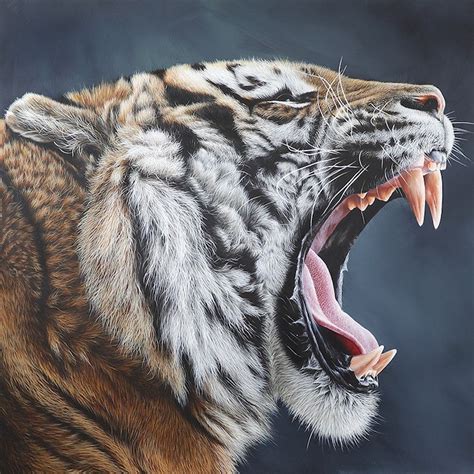 hyperrealistic oil paintings capture  wild nature   animal kingdom
