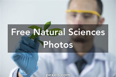 great natural sciences  pexels  stock