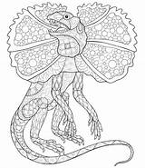Lizard Coloring Neck Frilled Dragon sketch template