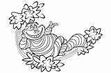 Alice Wonderland Coloring Pages Cat Cheshire Characters Printable Flowers Book Adults Trippy Kids Drawing Color Clipart Colouring Disney Flower Sheets sketch template