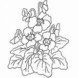 Colorat Primavara Coloring Kleurplaat Flori Bloem Planse Blumen P101 Planten P05 Desene Peisaje Fise Botany Lente Desenat Coloringhome Panselute Primiiani sketch template