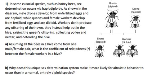 Solved In Some Eusocial Species Such As Honey Bees Sex