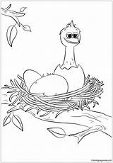 Pages Hatched Newly Chick Cute Nest Coloring Color sketch template
