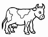 Cow Clipart Coloring Cows Color Carabao Clip Pages Kids Dairy Printable Cliparts Colouring Library Pad Clipartbest Getcolorings Collection Getdrawings sketch template