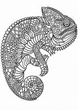 Coloring Pages Adults Printable Fun Animal Color Print Getcolorings Col sketch template