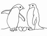 Coloring Arctic Pages Animals Tundra Penguin Drawing Couple Printable Animal Getdrawings Polar Penguins Eggs Kids Preschoolers Popular Color sketch template