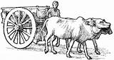 Bullock Ox Bull Pulling Oxcart Clipground Webstockreview sketch template