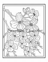 Dogwood sketch template