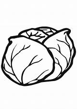 Coloring Cabbage Pages Vegetable sketch template