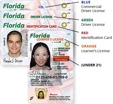 Starting In August Florida Will Phase In New Drivers Licenses And Id