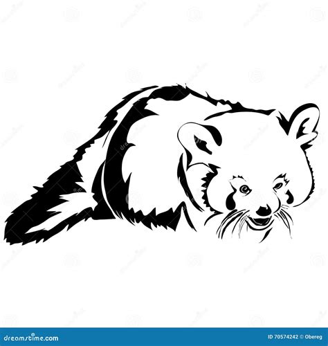red panda drawing black  white  red panda drawing