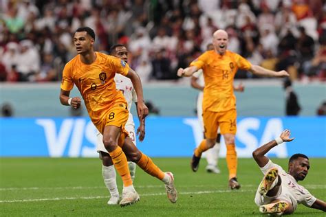 Cody Gakpo Continues Scoring Run At World Cup As Netherlands Beat Qatar