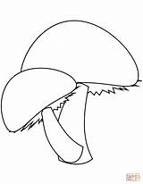 Coloring Mushrooms Pages Two Printable Drawing Categories sketch template