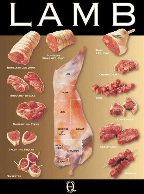sheep cuts  meat chart vintage lamb butcher chart meat illustration