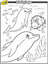 Coloring Pages Dolphins Crayola Dolphin Ocean Printable Kids Sheets Animal Print Summer Fish Colouring Color Sea Adult Book Whales Books sketch template