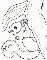 Coloring Squirrel Acorn Pages Printable Walnut Cake Designs Prints Drawings Halloween Tree Choose Board sketch template