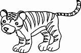 Coloring Just Tiger Wecoloringpage sketch template