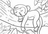 Monkey Monkeys sketch template