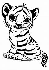 Coloring Pages Tiger Animal Kids Zoo Easy Print Animals Printable Sheets Baby Cartoon Tulamama Choose Board Books sketch template