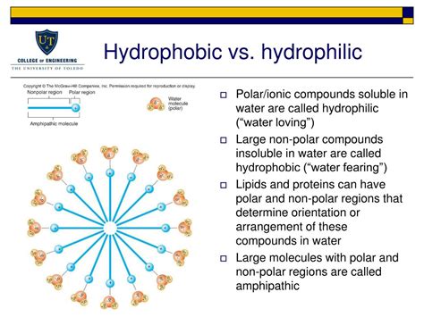 water   inorganic molecules powerpoint