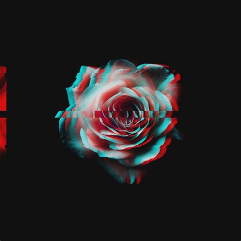 glitch rose amoled glitch wallpaper trippy wallpaper aesthetic roses