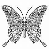 Borboletas Borboleta Swallowtails Borboletinhas Cura Imprima Tipo Uma Incríveis Desenhospracolorir Você Atividades Freecoloring sketch template