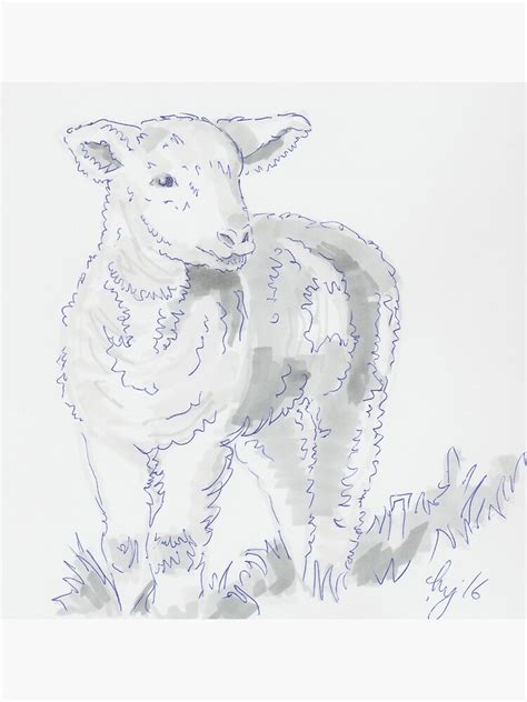 lamb drawing black  white sketch poster  sale  mikejory