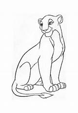Lioness Coloriages sketch template