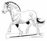 Horse Fjord Coloring Lena Fjording Pages Horses Drawings Cartoon Jumping Sketch Choose Board Drawing sketch template