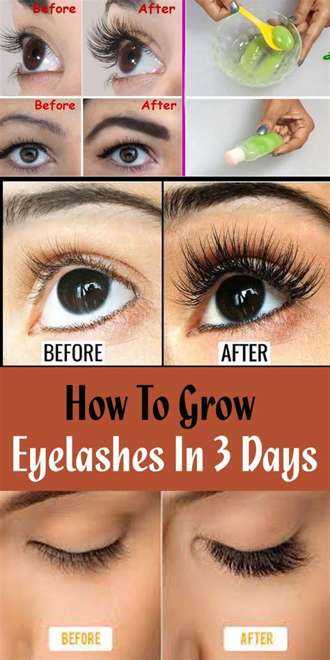 grow  eyelashes    days   grow eyelashes grow