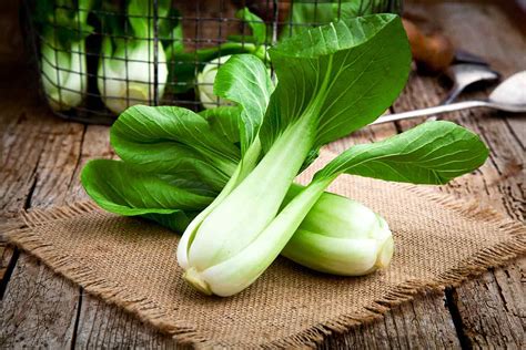 bok choy nutrition facts  potential benefits nutrition advance