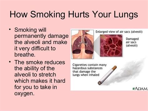 Smoking And Your Lungs