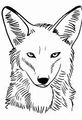 Coyote Coiote Kolorowanki Zeichentrick Dessins Animali Cartonionline Kojote Molde Dibujosanimados sketch template