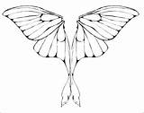 Moth Lunar Alas Designlooter Butterfly sketch template