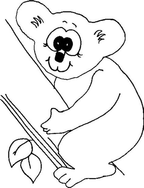 koala bear  big eye coloring page color luna