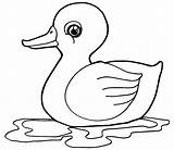 Duck Pato Duckling Kaczka Pintar Patinhos Patos Quacking Naklejka Kolorowanki Sowy Wektorowe Freehand Infantis Prace sketch template