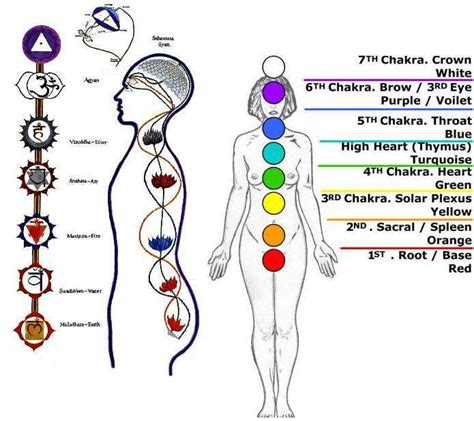What Are The 7 Chakras Of Human Body Templepurohit Your Spiritual