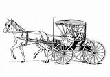 Horse Carriage sketch template